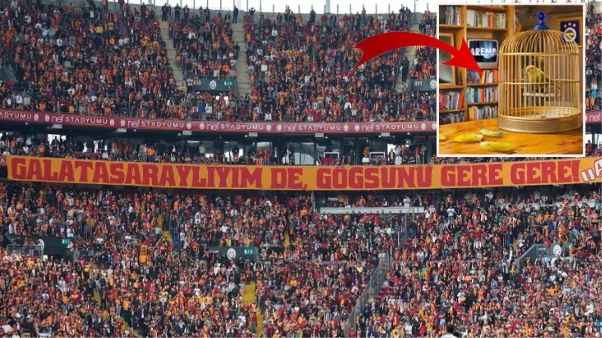 Galatasaray’dan maç sonu Fenerbahçelileri çıldırtan paylaşımlar