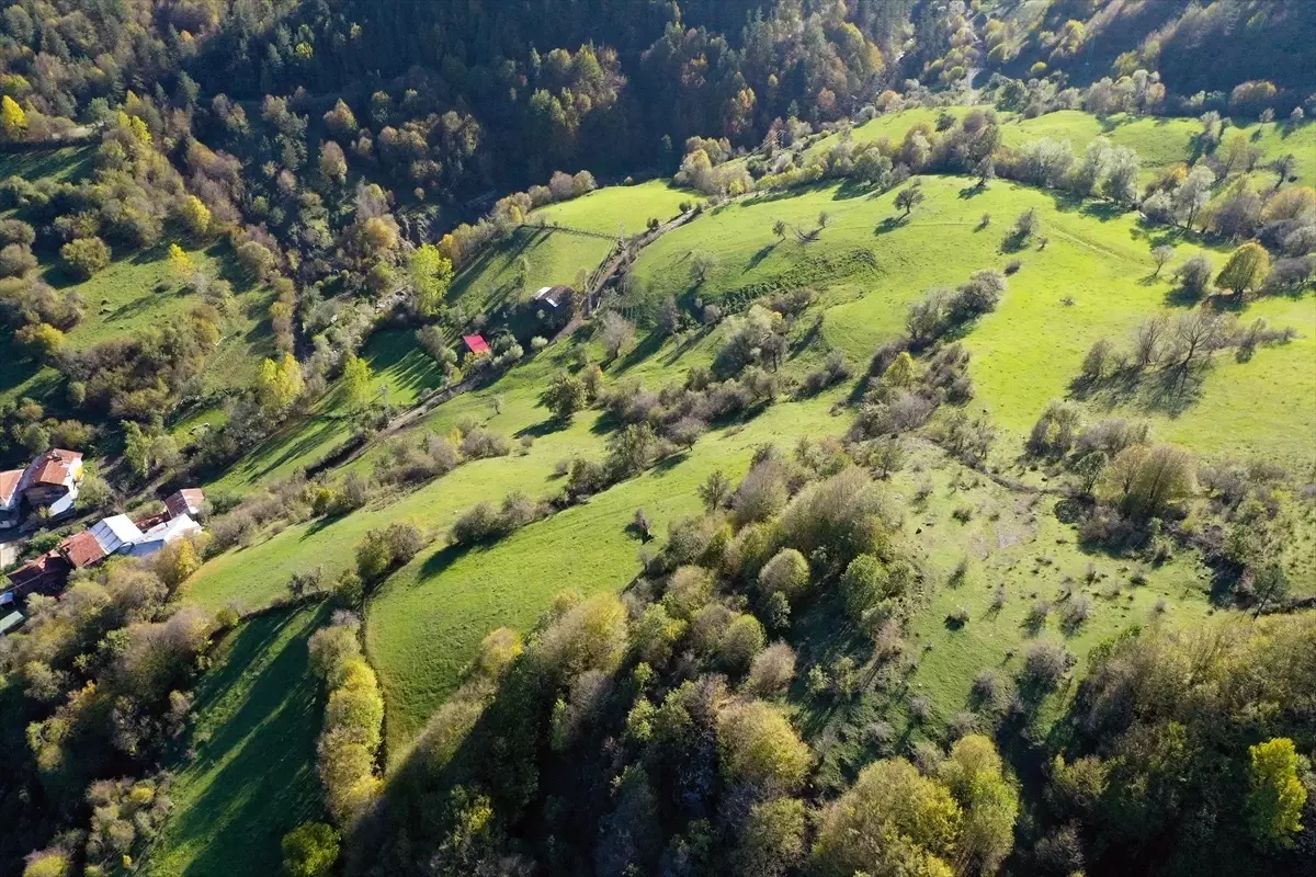 Ilgaz Dağı’nda İki Mevsim Bir Arada