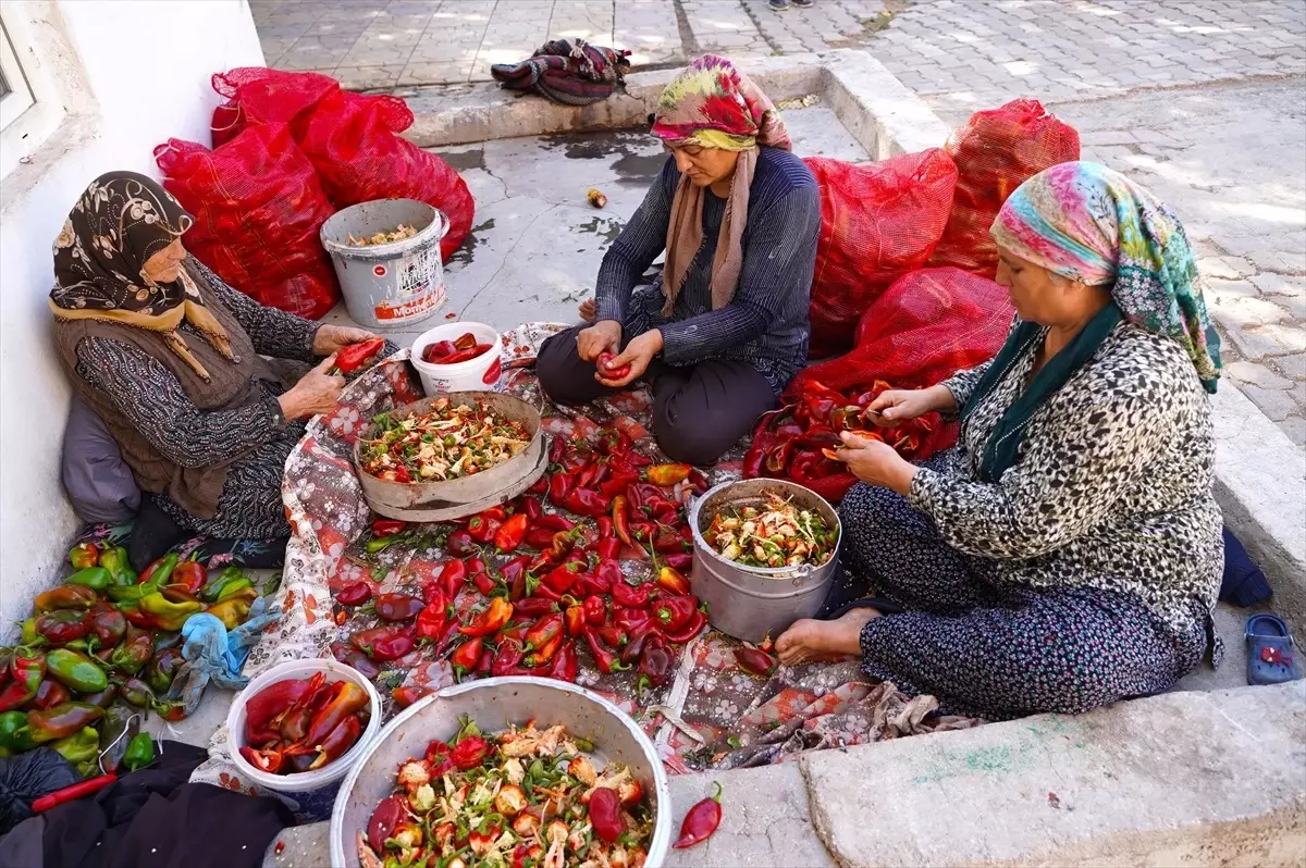 Kadın Çiftçiler Gaziantep’te Ev Ekonomisine Katkı Sağlıyor