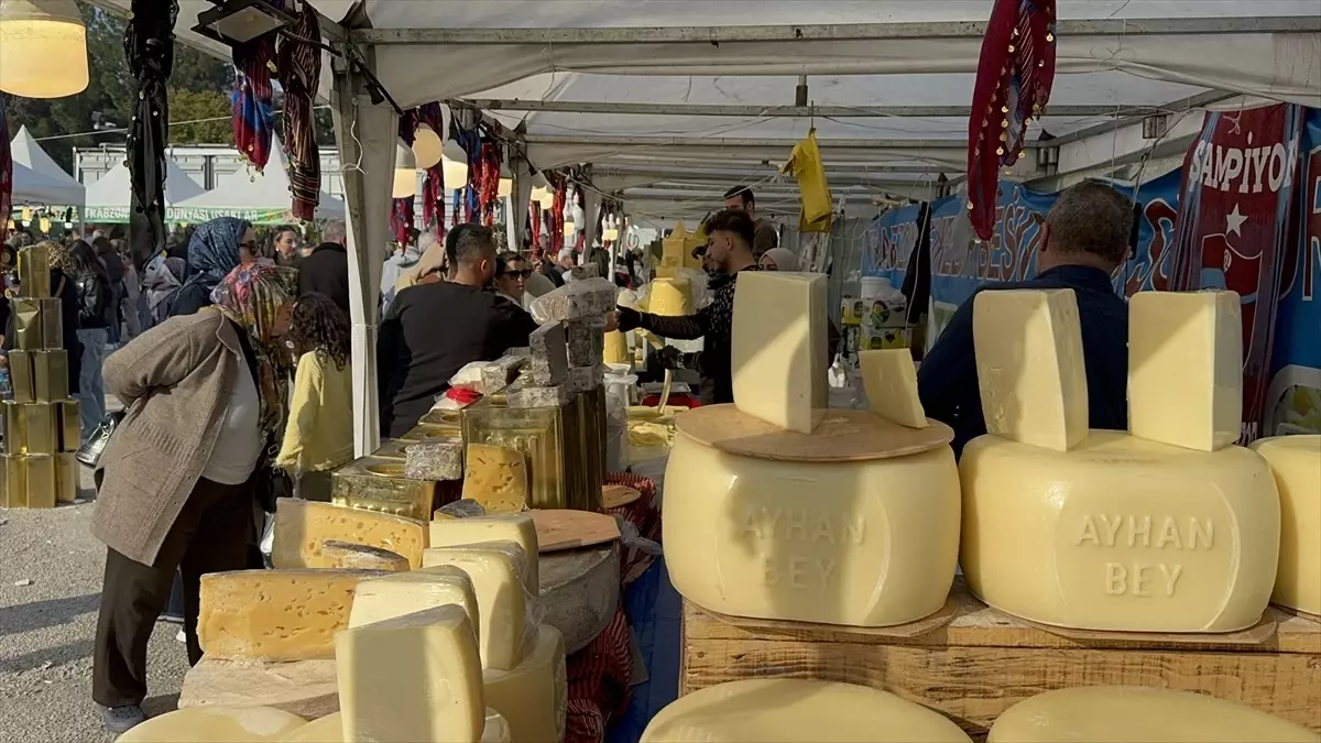 Adana’da 1. Hamsi Festivali Coşkusu